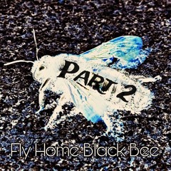 Fly Home Black Bee Part 2
