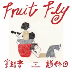 Fruit Fly