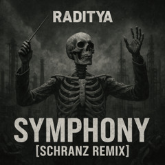 Clean Bandit - Symphony - SCHRANZ REMIX