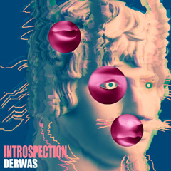 INTROSPECTION