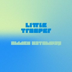 Little Trooper - Hidden Hatchway