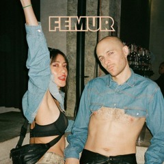 Femur's Lecker Mix