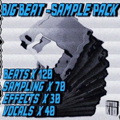 Big Beat - Sample Pack  by Outer Kid