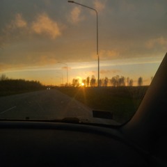 in the car type