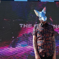 ANIMALAZTIK DJ SET -LIVE VIRTUAL FEST