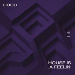 House Is A Feelin'