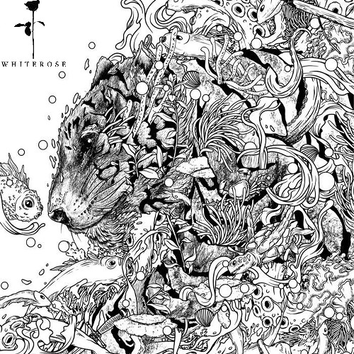 Ten Walls - Cadencia
