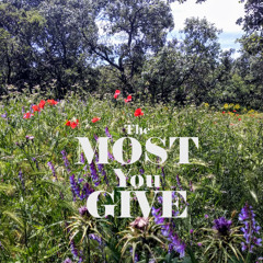 The most you give