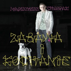 Najszybszy Chłopak - Zwariowany Świat ft/ Rzabka