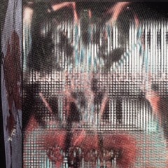 Untitled Side 1a (@demo001)