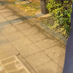 やさしい気持ち Chara