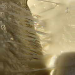 Total Fiber 7" | snippets