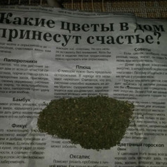 cupsize - я иду этапом