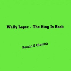 Wally Lopez - The King Is Back (Puccio S Remix)