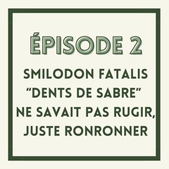 Episode 2. Smilodon fatalis "dents de sabre" ne savait pas rugir, juste ronronner