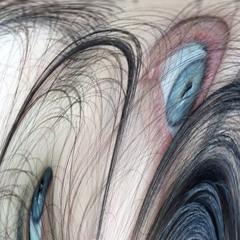 Siamese Twin
