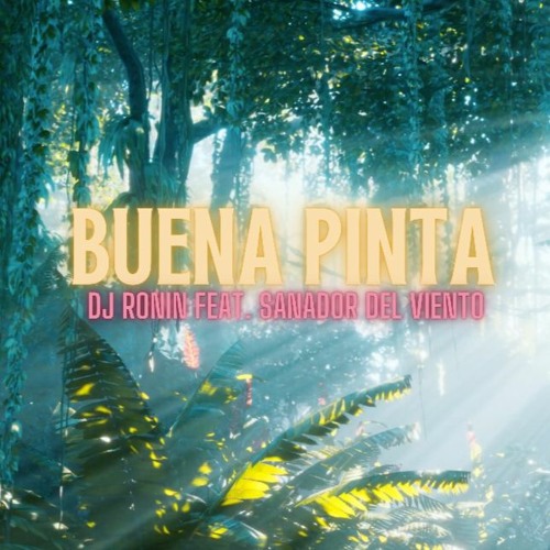 DJ Ronin - Buena Pinta (feat. Sanador Del Viento)