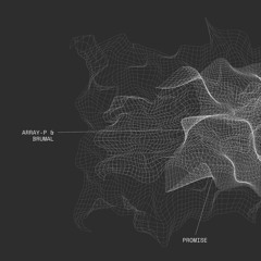 ArrAy-P & Brumal - Promise