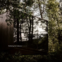 Mediating The Unknown EP