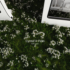 Cyntaf i'r Felin