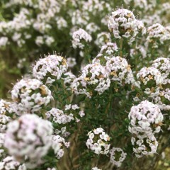 KOUTA - STAYHOME01MIX