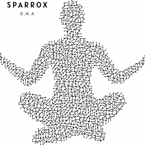 SparroX - D.N.A