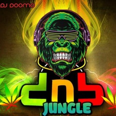 JAMMIN , jungle dnb mix 2022 / Vol 1