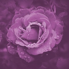 Passion Overdrive (Live Mix)