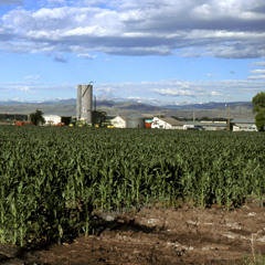 POV: You Live in East Colorado During Tornado Season
