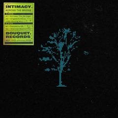 Intimacy - Across The Bridge - Vinyl/Digital EP