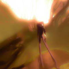 Desde el cielo que no ves