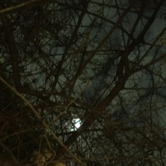 Corona de espinas - Nawe4Ever (2023 LOST MEDIA)