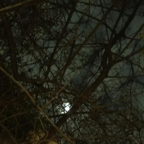 Corona de espinas - Nawe4Ever (2023 LOST MEDIA)