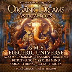 Ohm Mind - Live At Organic Dreams Vs Tribal Roots - Belgium 2023