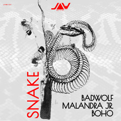 Premiere: Badwolf, BOHO, Malandra Jr "Snake" (Rave Mix) - Jannowitz Records