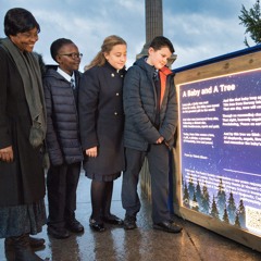 'A Baby and A Tree' by Valerie Bloom - The Look North More Often Project
