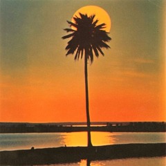 Childish Gambino - Feels Like Summer (Damian Birdsey Remix)