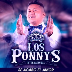 Necesito un amor