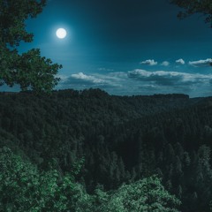 DJ Lunar - Forest Psychedelic Trance MIX Vol.1 (DJ MIX 2023)