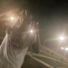 WHIPPET PROD. VXXRHEEZ