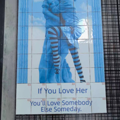 lifestyle plastic feat. blimeydog