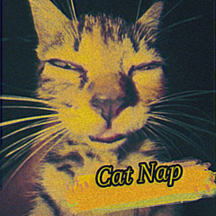 Cat Nap