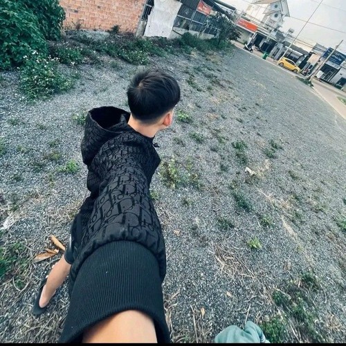 ✈️✈️việtmix 2k25 cành phi yến trong mưa ☔