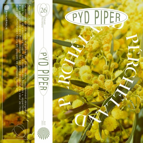 Pyd Piper - Perchéland  #26