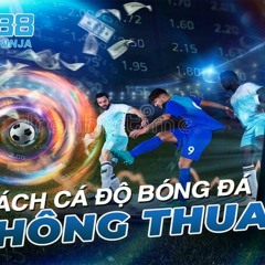Khám Phá Bí Quyết Cá Cược Bóng Đá Với Https//cacuoc-bongda.info/ - Mẹo Chuyên Gia