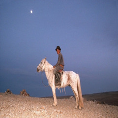 BORN PROPHET prod. vili cabernett