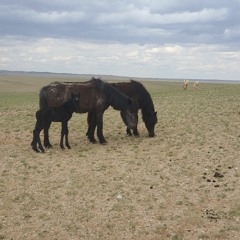 Aduutai Namar  A Khosbayar.mp3