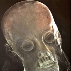 Immanentize - Volume I