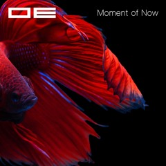 OE - Cloud Sea (Beat Mix from "Moment of Now", Downtempo / Ambient / Post Rock))