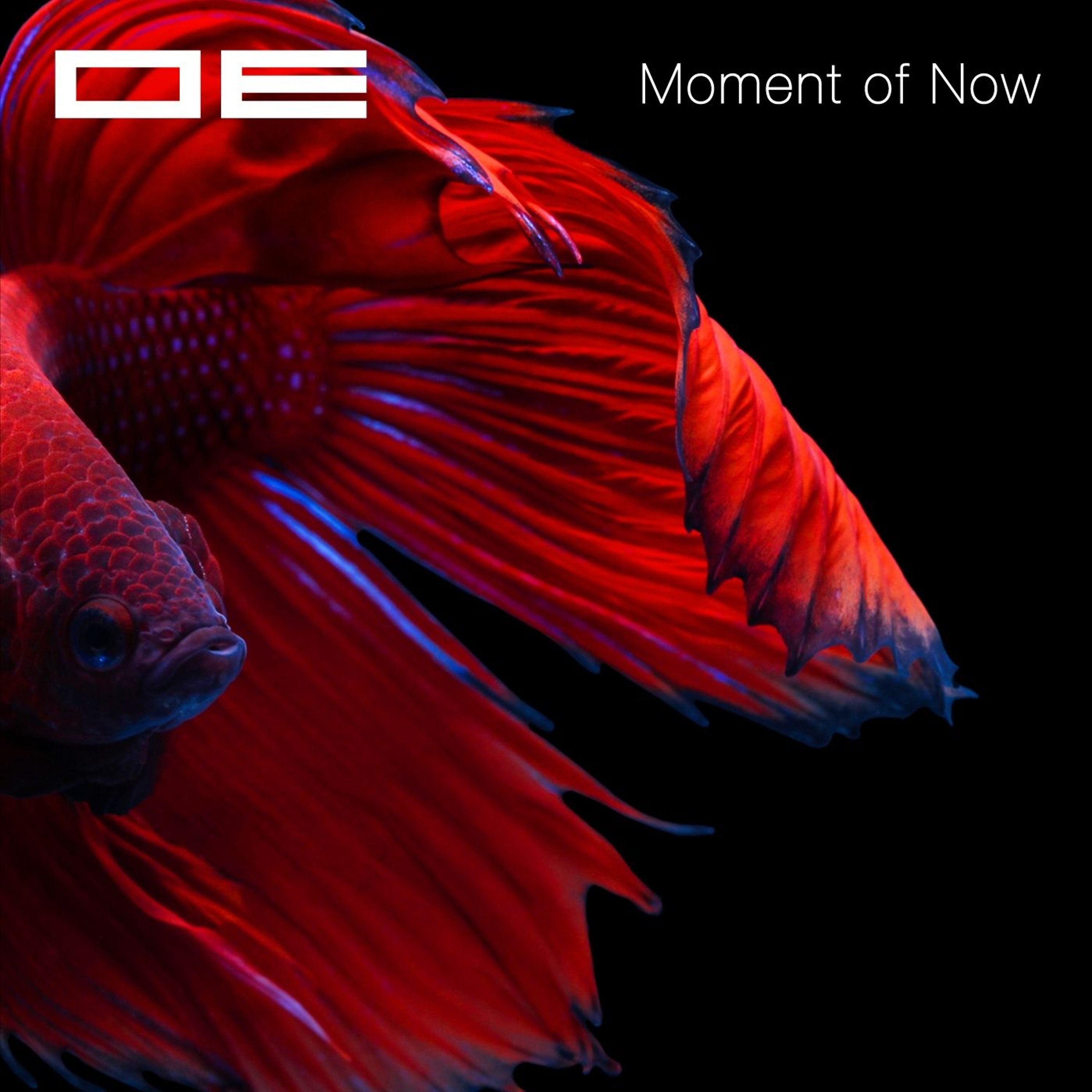 Model Electronic Records on SoundCloud